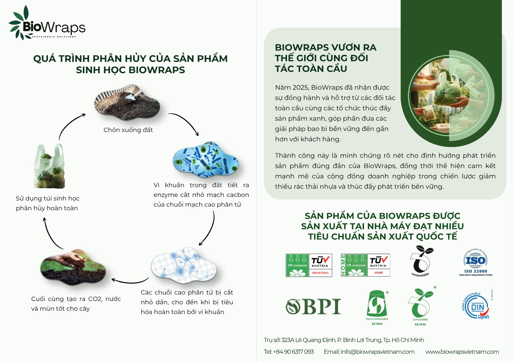 Nửa trái của trang 8