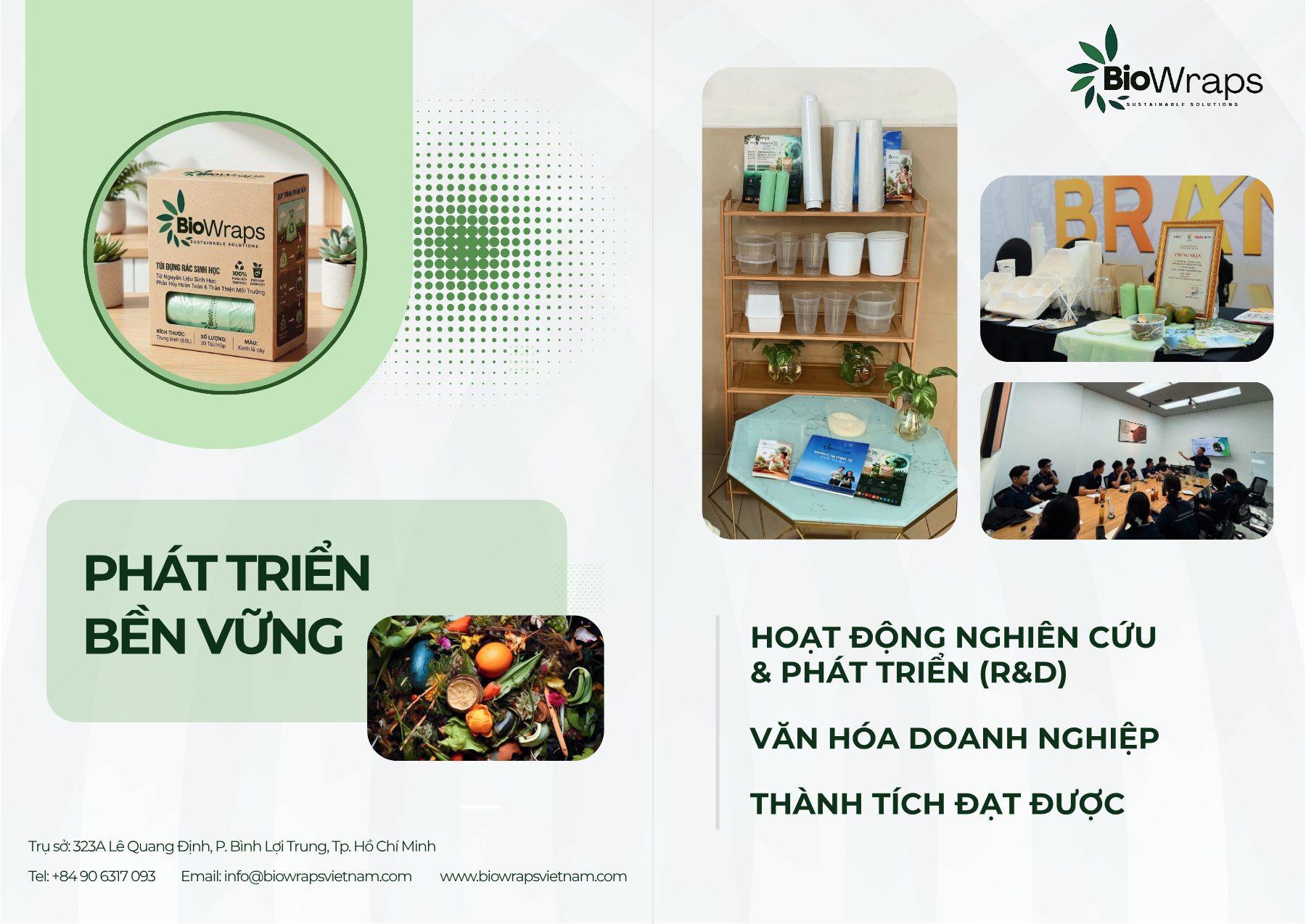 Nửa trái của trang 11